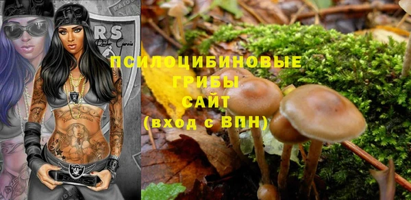 spice Нязепетровск