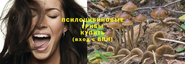 spice Нязепетровск