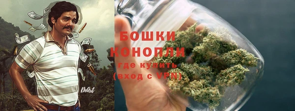 spice Нязепетровск