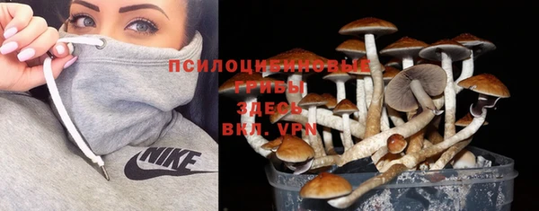 кристаллы Нягань